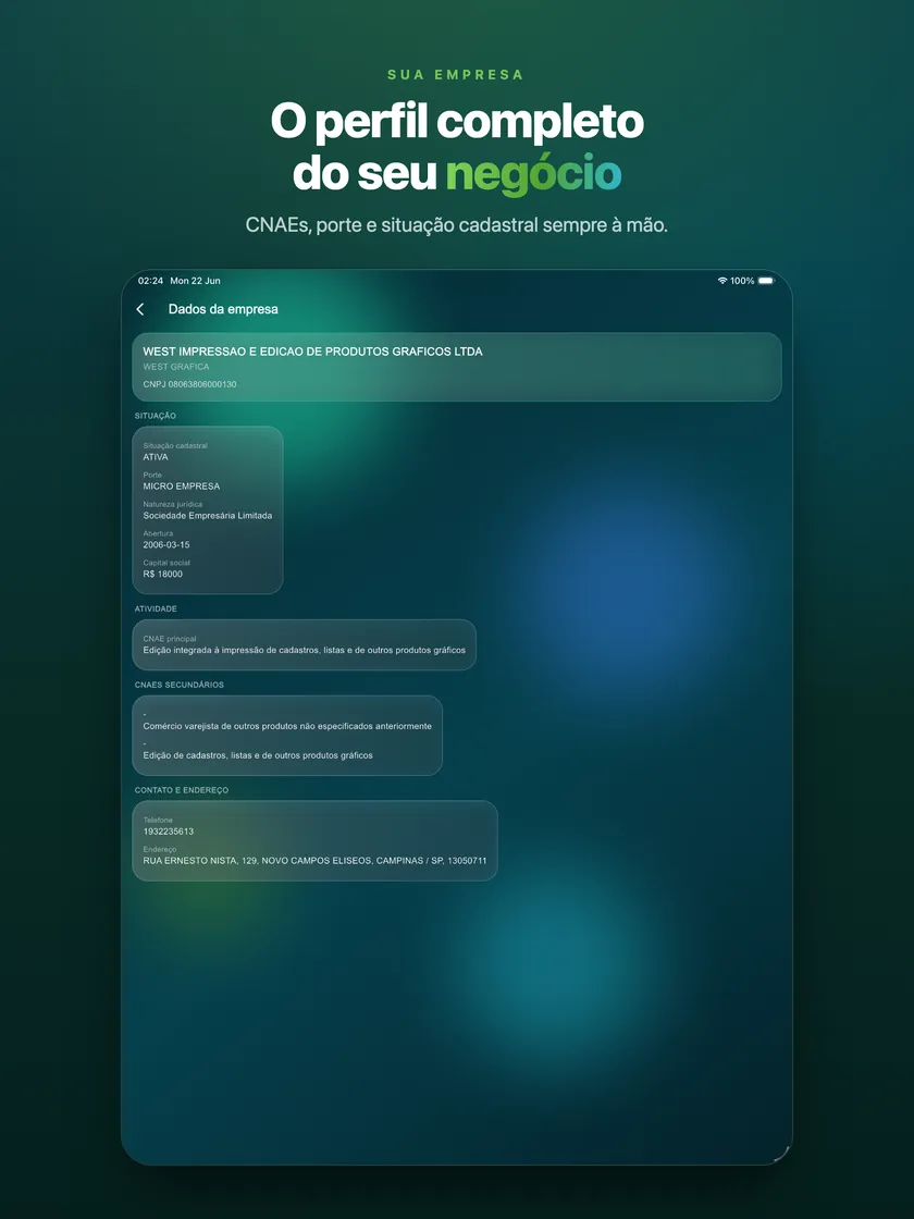 Perfil completo da empresa no iPad: CNAEs, porte e situação cadastral